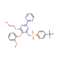 COc1ccccc1Oc1c(NS(=O)(=O)c2ccc(C(C)(C)C)cc2)nc(-c2ncccn2)nc1OCCO ZINC000001538857