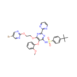 COc1ccccc1Oc1c(NS(=O)(=O)c2ccc(C(C)(C)C)cc2)nc(-c2ncccn2)nc1OCCOc1ncc(Br)cn1 ZINC000095552080