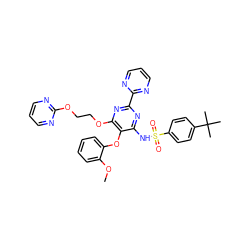 COc1ccccc1Oc1c(NS(=O)(=O)c2ccc(C(C)(C)C)cc2)nc(-c2ncccn2)nc1OCCOc1ncccn1 ZINC000095553714