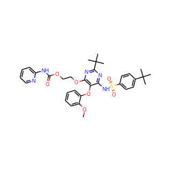 COc1ccccc1Oc1c(NS(=O)(=O)c2ccc(C(C)(C)C)cc2)nc(C(C)(C)C)nc1OCCOC(=O)Nc1ccccn1 ZINC000026291122