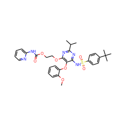 COc1ccccc1Oc1c(NS(=O)(=O)c2ccc(C(C)(C)C)cc2)nc(C(C)C)nc1OCCOC(=O)Nc1ccccn1 ZINC000026289754