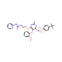 COc1ccccc1Oc1c(NS(=O)(=O)c2ccc(C(C)(C)C)cc2)nc(C)nc1OCCNC(=O)Nc1ccccn1 ZINC000026289649