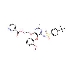 COc1ccccc1Oc1c(NS(=O)(=O)c2ccc(C(C)(C)C)cc2)nc(C)nc1OCCOC(=O)c1cccnc1 ZINC000026289769