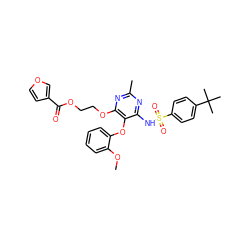 COc1ccccc1Oc1c(NS(=O)(=O)c2ccc(C(C)(C)C)cc2)nc(C)nc1OCCOC(=O)c1ccoc1 ZINC000026376068