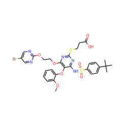 COc1ccccc1Oc1c(NS(=O)(=O)c2ccc(C(C)(C)C)cc2)nc(SCCC(=O)O)nc1OCCOc1ncc(Br)cn1 ZINC000095612262