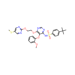 COc1ccccc1Oc1c(NS(=O)(=O)c2ccc(C(C)(C)C)cc2)ncnc1OCCOc1ncc(SC)cn1 ZINC000027075799