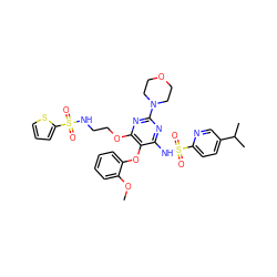 COc1ccccc1Oc1c(NS(=O)(=O)c2ccc(C(C)C)cn2)nc(N2CCOCC2)nc1OCCNS(=O)(=O)c1cccs1 ZINC000028008782