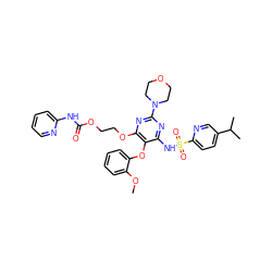 COc1ccccc1Oc1c(NS(=O)(=O)c2ccc(C(C)C)cn2)nc(N2CCOCC2)nc1OCCOC(=O)Nc1ccccn1 ZINC000003977732