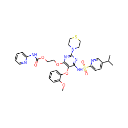 COc1ccccc1Oc1c(NS(=O)(=O)c2ccc(C(C)C)cn2)nc(N2CCSCC2)nc1OCCOC(=O)Nc1ccccn1 ZINC000026291435