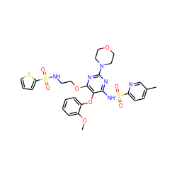 COc1ccccc1Oc1c(NS(=O)(=O)c2ccc(C)cn2)nc(N2CCOCC2)nc1OCCNS(=O)(=O)c1cccs1 ZINC000028088505