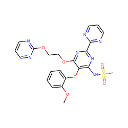 COc1ccccc1Oc1c(NS(C)(=O)=O)nc(-c2ncccn2)nc1OCCOc1ncccn1 ZINC000095557490