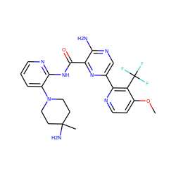 COc1ccnc(-c2cnc(N)c(C(=O)Nc3ncccc3N3CCC(C)(N)CC3)n2)c1C(F)(F)F ZINC001772655622