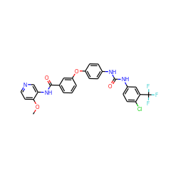 COc1ccncc1NC(=O)c1cccc(Oc2ccc(NC(=O)Nc3ccc(Cl)c(C(F)(F)F)c3)cc2)c1 ZINC000027880874