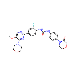 COc1cnc(-c2ccc(NC(=O)Nc3ccc(N4CCOCC4=O)cc3)c(F)c2)nc1N1CCOCC1 ZINC000118279615