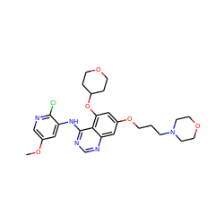 COc1cnc(Cl)c(Nc2ncnc3cc(OCCCN4CCOCC4)cc(OC4CCOCC4)c23)c1 ZINC000028530109