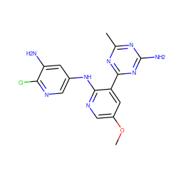 COc1cnc(Nc2cnc(Cl)c(N)c2)c(-c2nc(C)nc(N)n2)c1 ZINC000169703348