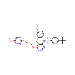 COc1cnc(OCCOc2ncnc(NS(=O)(=O)c3ccc(C(C)(C)C)cc3)c2Oc2cccc(OC)c2)nc1 ZINC000027079535