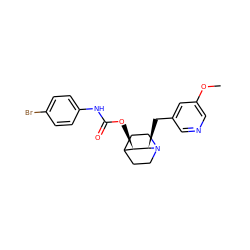 COc1cncc(C[C@@H]2[C@H](OC(=O)Nc3ccc(Br)cc3)C3CCN2CC3)c1 ZINC000028524176