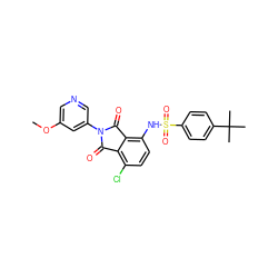 COc1cncc(N2C(=O)c3c(Cl)ccc(NS(=O)(=O)c4ccc(C(C)(C)C)cc4)c3C2=O)c1 ZINC000653845101