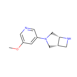 COc1cncc(N2C[C@H]3CN[C@H]3C2)c1 ZINC000028866027