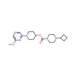 COc1cncc(N2CCC(OC(=O)N3CCN(C4CCC4)CC3)CC2)n1 ZINC000223526112