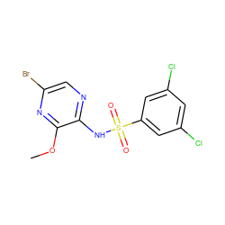 COc1nc(Br)cnc1NS(=O)(=O)c1cc(Cl)cc(Cl)c1 ZINC000038479944