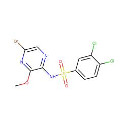 COc1nc(Br)cnc1NS(=O)(=O)c1ccc(Cl)c(Cl)c1 ZINC000116958023