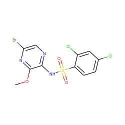 COc1nc(Br)cnc1NS(=O)(=O)c1ccc(Cl)cc1Cl ZINC000034323595