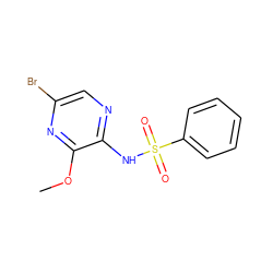 COc1nc(Br)cnc1NS(=O)(=O)c1ccccc1 ZINC000116959442