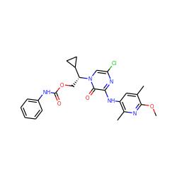 COc1nc(C)c(Nc2nc(Cl)cn([C@H](COC(=O)Nc3ccccc3)C3CC3)c2=O)cc1C ZINC000117100327