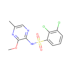 COc1nc(C)cnc1NS(=O)(=O)c1cccc(Cl)c1Cl ZINC000116959197