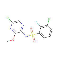 COc1nc(Cl)cnc1NS(=O)(=O)c1cccc(Cl)c1F ZINC000038477235