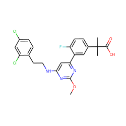 COc1nc(NCCc2ccc(Cl)cc2Cl)cc(-c2cc(C(C)(C)C(=O)O)ccc2F)n1 ZINC000066104678