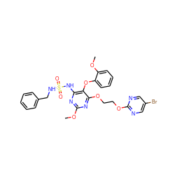 COc1nc(NS(=O)(=O)NCc2ccccc2)c(Oc2ccccc2OC)c(OCCOc2ncc(Br)cn2)n1 ZINC000095553932