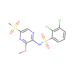 COc1nc(S(C)(=O)=O)cnc1NS(=O)(=O)c1cccc(Cl)c1Cl ZINC000116960437