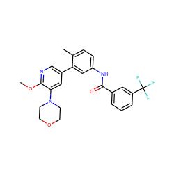 COc1ncc(-c2cc(NC(=O)c3cccc(C(F)(F)F)c3)ccc2C)cc1N1CCOCC1 ZINC000225961097