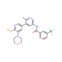 COc1ncc(-c2cc(NC(=O)c3cccc(C(F)(F)F)c3)cnc2C)cc1N1CCOCC1 ZINC000225971067