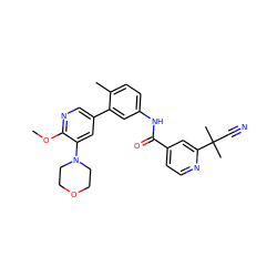 COc1ncc(-c2cc(NC(=O)c3ccnc(C(C)(C)C#N)c3)ccc2C)cc1N1CCOCC1 ZINC000225980020