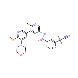 COc1ncc(-c2cc(NC(=O)c3ccnc(C(C)(C)C#N)c3)cnc2C)cc1N1CCOCC1 ZINC000225990724