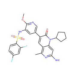 COc1ncc(-c2cc3c(C)nc(N)cc3n(C3CCCC3)c2=O)cc1NS(=O)(=O)c1ccc(F)cc1F ZINC000103260637