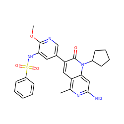 COc1ncc(-c2cc3c(C)nc(N)cc3n(C3CCCC3)c2=O)cc1NS(=O)(=O)c1ccccc1 ZINC000103260647