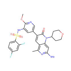 COc1ncc(-c2cc3c(C)nc(N)cc3n(C3CCOCC3)c2=O)cc1NS(=O)(=O)c1ccc(F)cc1F ZINC000103259788