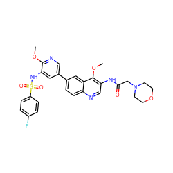 COc1ncc(-c2ccc3ncc(NC(=O)CN4CCOCC4)c(OC)c3c2)cc1NS(=O)(=O)c1ccc(F)cc1 ZINC001772579241