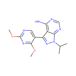 COc1ncc(-c2nn(C(C)C)c3ncnc(N)c23)c(OC)n1 ZINC000008581985