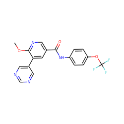 COc1ncc(C(=O)Nc2ccc(OC(F)(F)F)cc2)cc1-c1cncnc1 ZINC000205918725