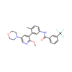 COc1ncc(N2CCOCC2)cc1-c1cc(NC(=O)c2cccc(C(F)(F)F)c2)ccc1C ZINC000220463316