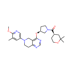 COc1ncc(N2CCc3ncnc(O[C@H]4CCN(C(=O)[C@@H]5CCOC(C)(C)C5)C4)c3C2)cc1C ZINC000113567433