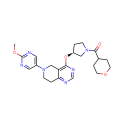 COc1ncc(N2CCc3ncnc(O[C@H]4CCN(C(=O)C5CCOCC5)C4)c3C2)cn1 ZINC000113569473