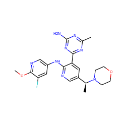 COc1ncc(Nc2ncc([C@H](C)N3CCOCC3)cc2-c2nc(C)nc(N)n2)cc1F ZINC000113233681