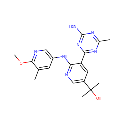 COc1ncc(Nc2ncc(C(C)(C)O)cc2-c2nc(C)nc(N)n2)cc1C ZINC000113239321